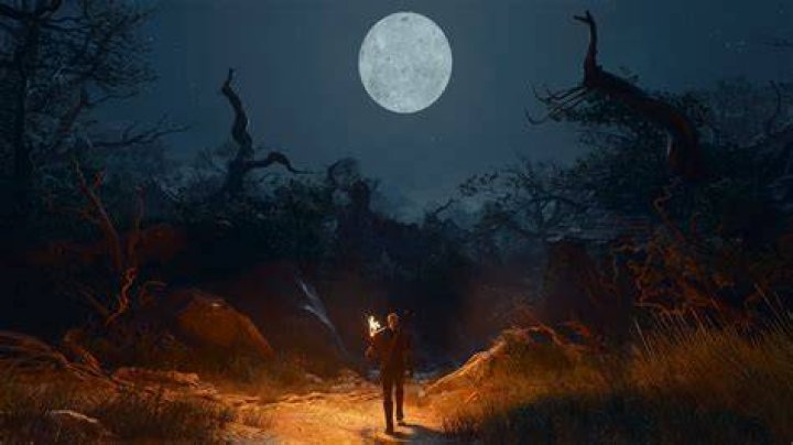 The Witcher 3: Wild Hunt