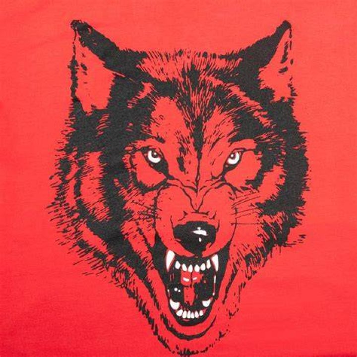 The Wolfpac Cropped