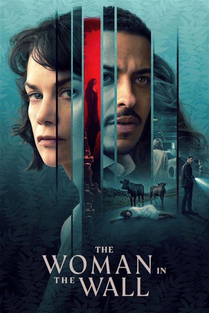 The Woman In The Wall the woman in the wall