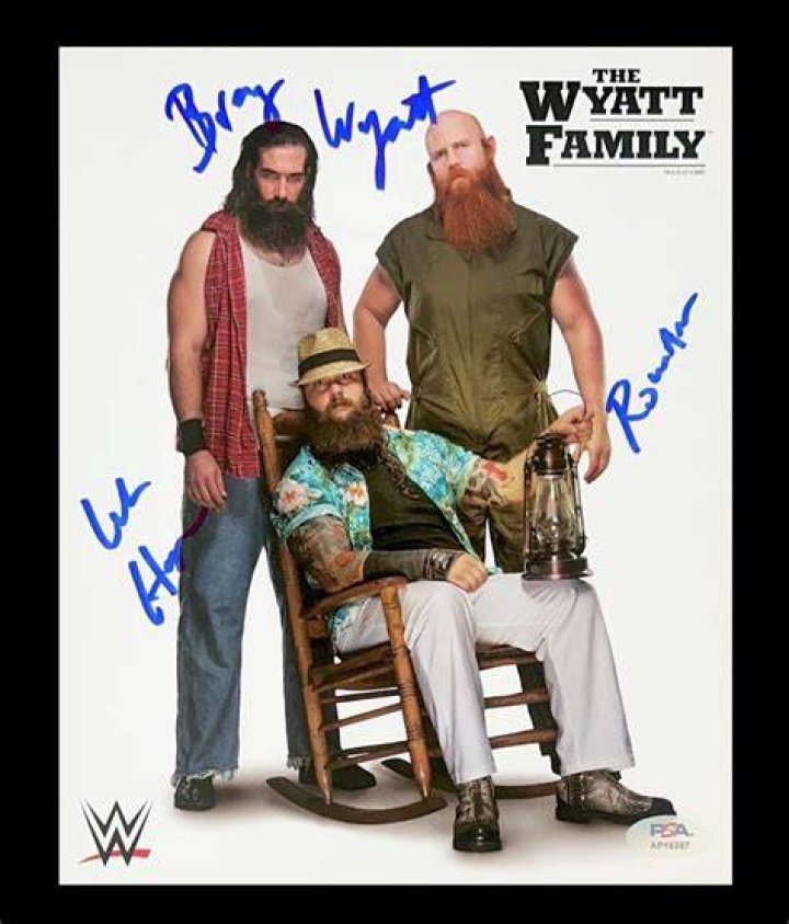 The Wyatt Family stands over CM Punk Cropped