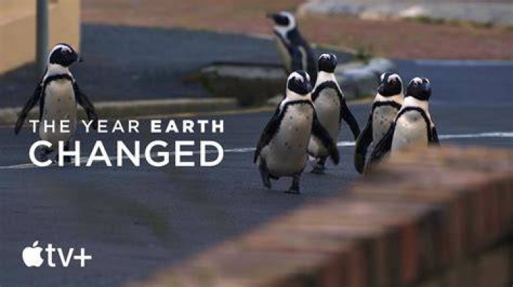 The Year Earth Changed