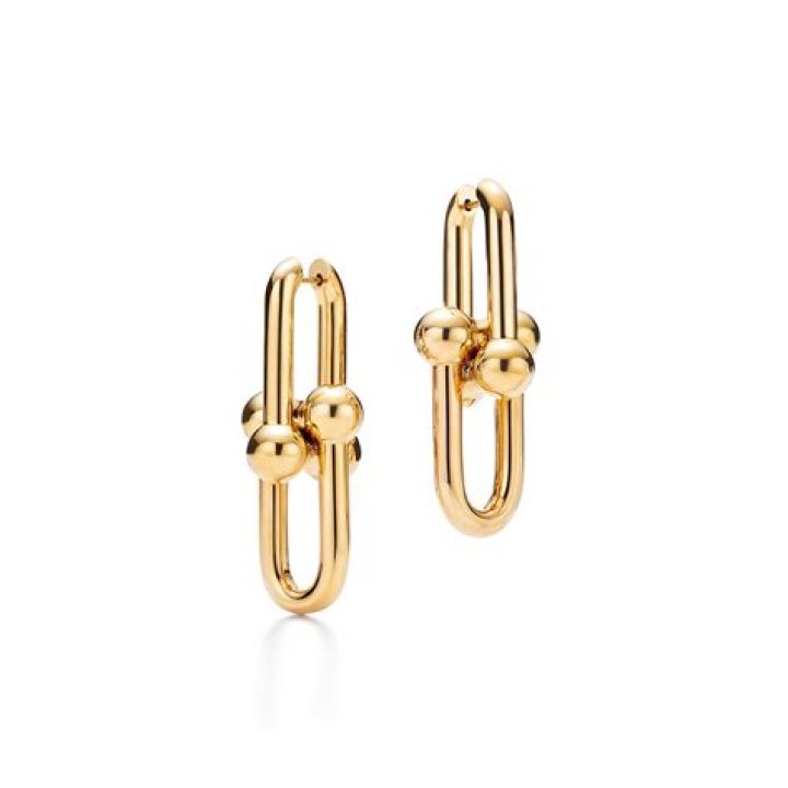 Tiffany HardWear Link Earrings