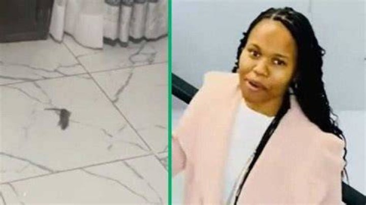 TikTok Video of Rat Rolling Around in University Student’s Home Gets 1.5M Views, Leaves SA Confused