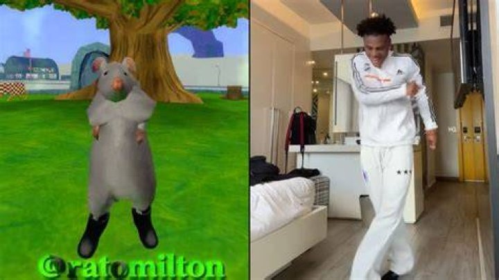 TikTok video shows rat in university student's home TikTok video shows rat in university student's home