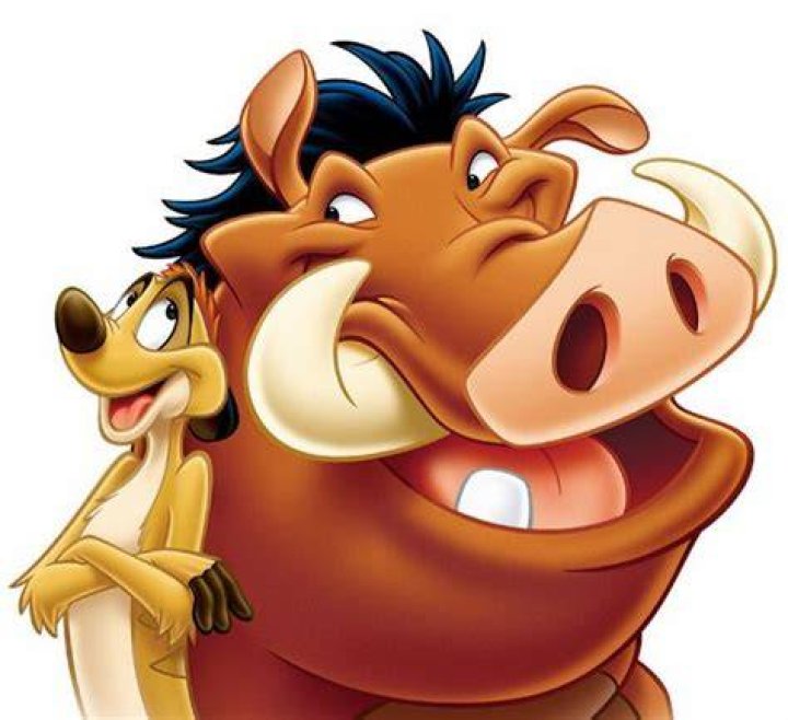 Timon and Pumba Smiling In the Jungle
