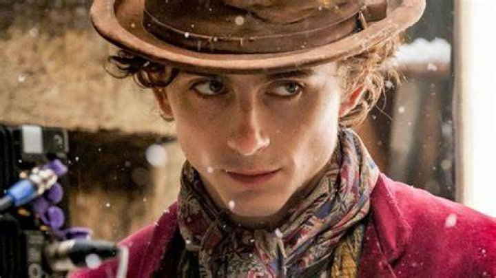Timothee Chalamet in Wonka
