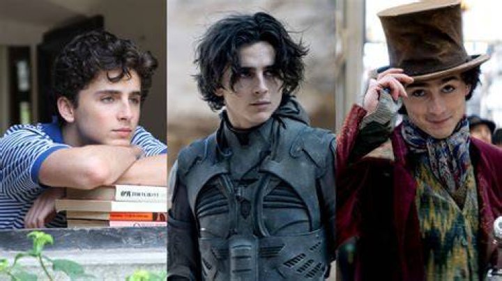Timothee Chalamet won 2021 movies Dont look up dune french dispatch