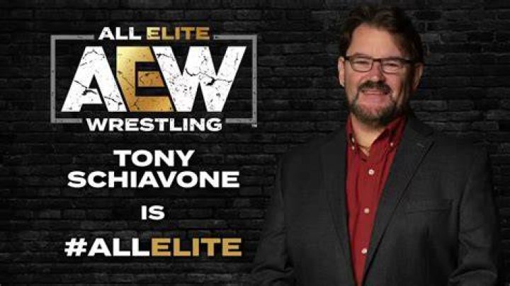 Tony Schiavone in All Elite Wrestling