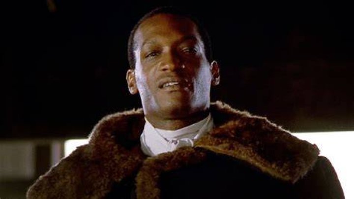 Tony Todd as Candyman