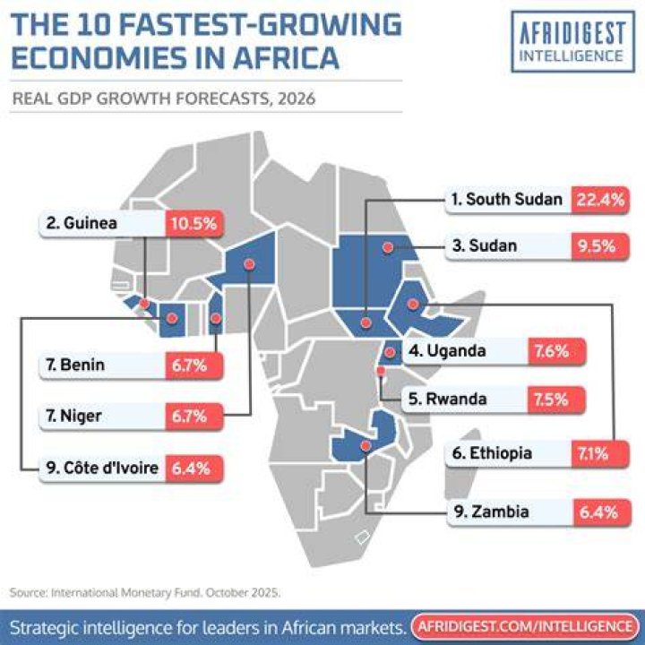 Top 10 fastest growing industries in South Africa in 2022