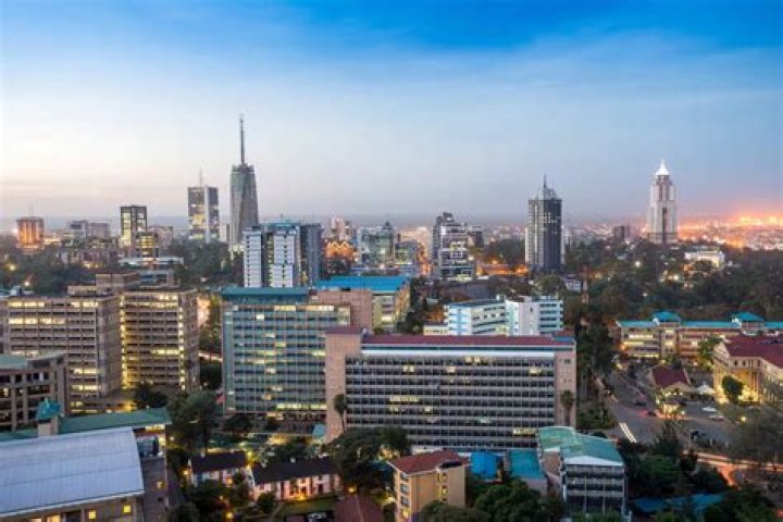 Top details about Kenya's national football team: history, squad, coach, world rankings