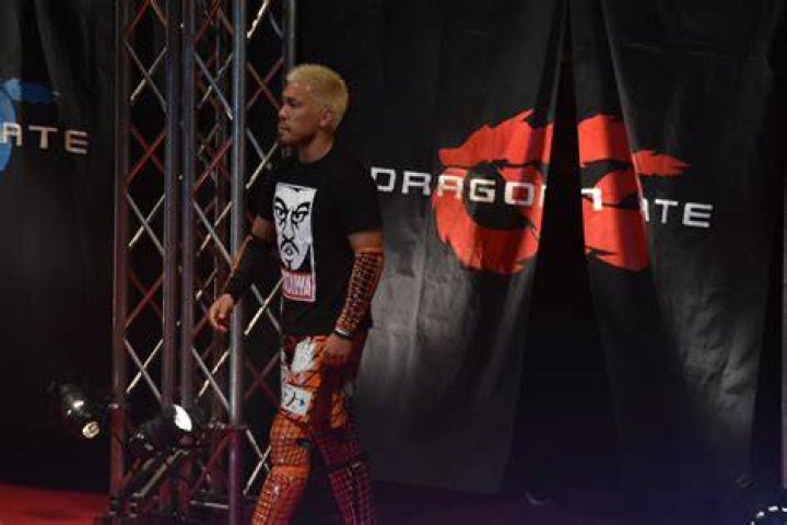 Tozawa Dragon Gate Cropped