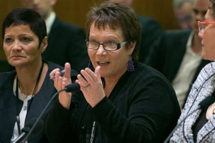  Tracey Martin supported the bill, but Martin had to vote via proxy as she was at home in self-isolation. Photo / Mark Mitchell. 