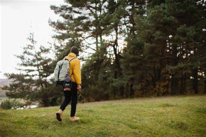 traveler walking through a green forest on an adventure travel trip