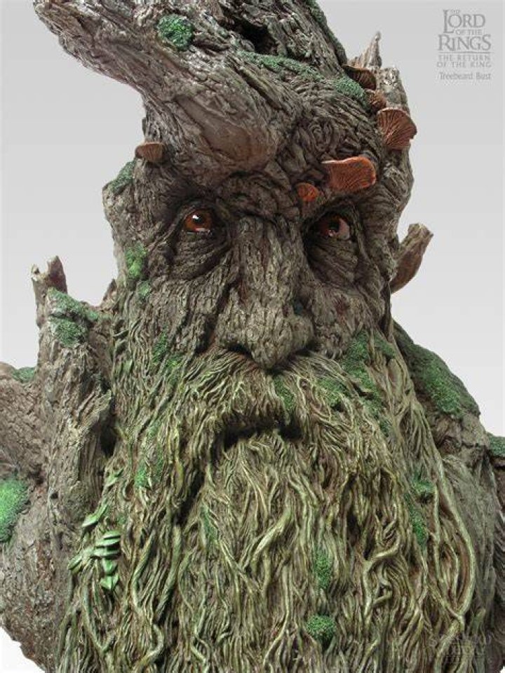 Treebeard in Lord of the Rings