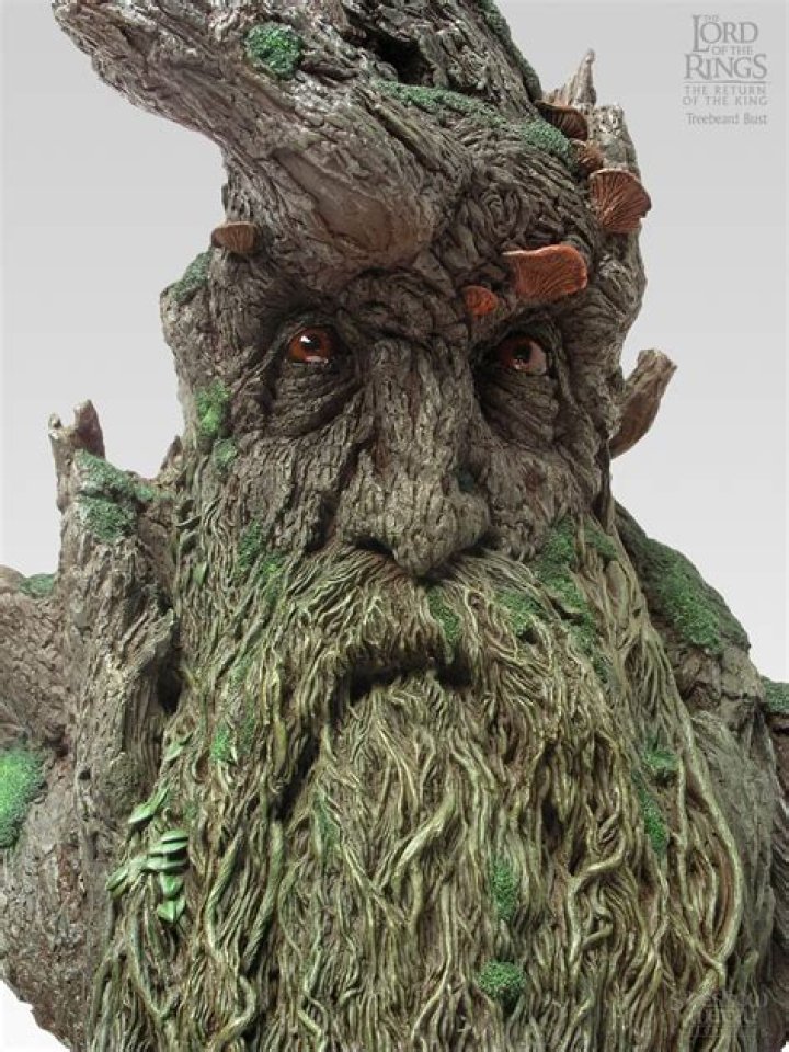 Treebeard in The Lord of the Rings
