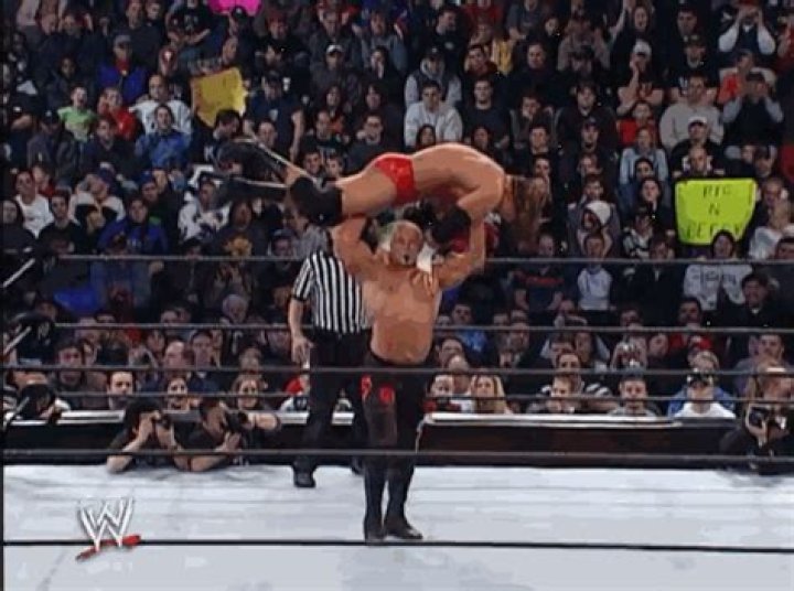 Triple H v Scott Steiner Royal Rumble 2003