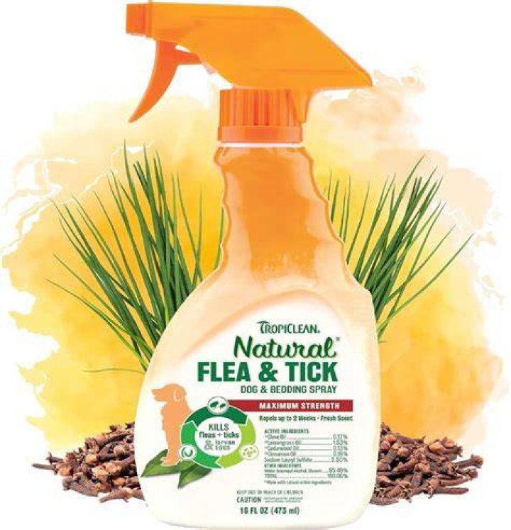 TropiClean Natural Flea & Tick Shampoos for Dogs