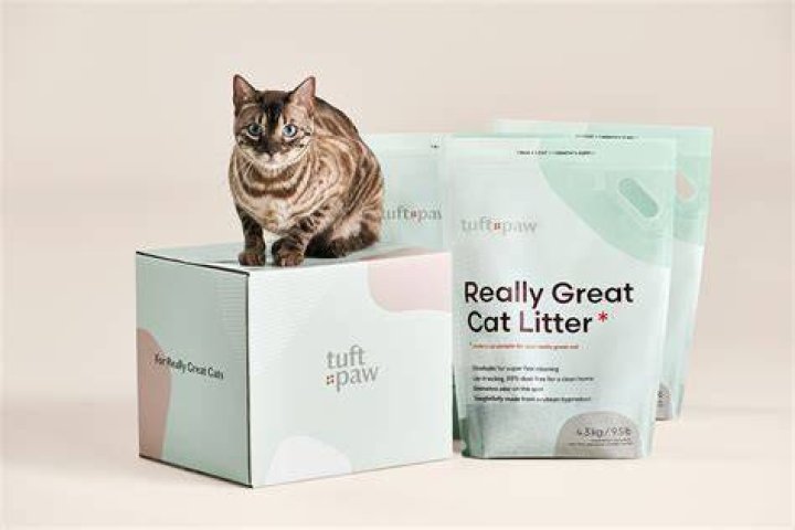 Tuft and Paw Cove Litter Box - Featured Image