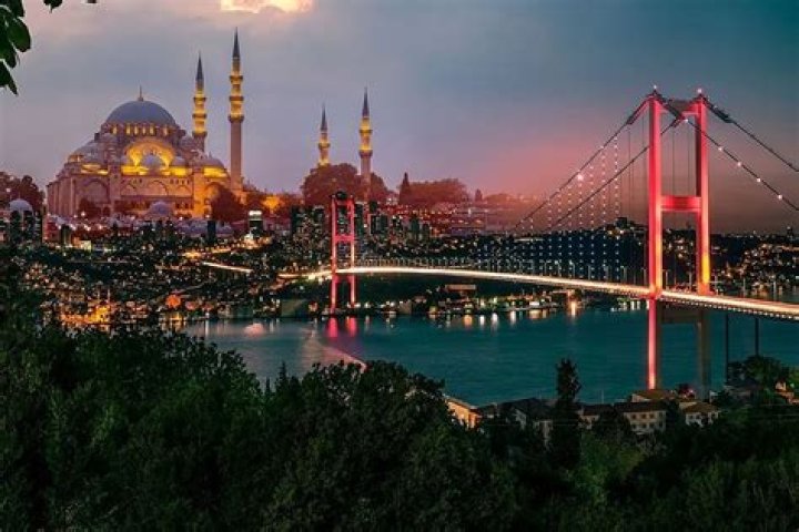Turkey Turkey