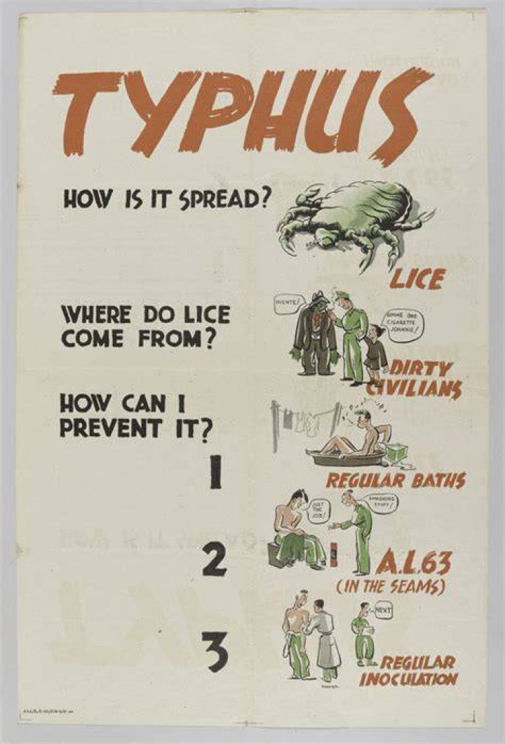 Typhus Poster