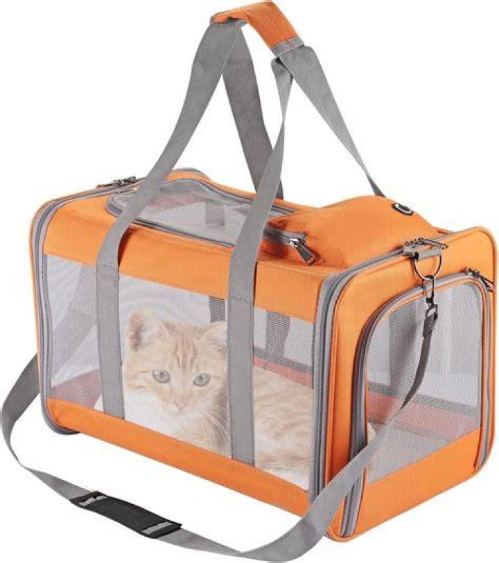 Ultimate Guide To Cat Sack Carrier: Choosing The Best For Your Feline Friend