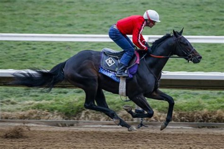 Underdog Horse Worth $149,836 Upsets Race-Favorite at Popular Equestrian Race