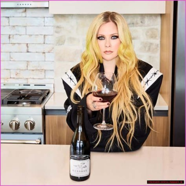 Understanding Avril Lavigne Lids: A Deep Dive Into Her Unique Style