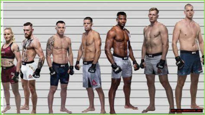 Understanding Conor McGregor's Height: Facts And Insights