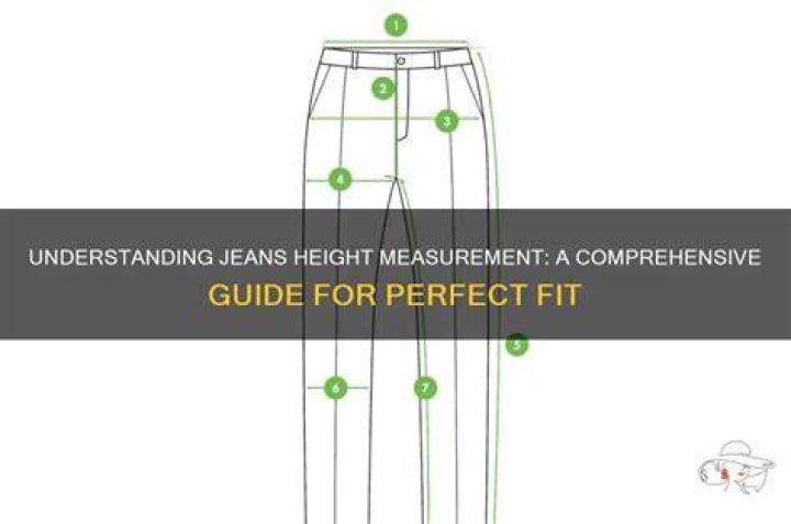 Understanding Eva Height: A Comprehensive Guide