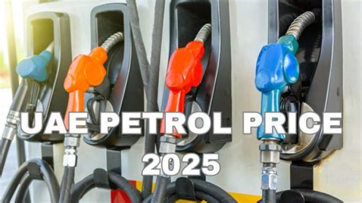 Understanding Petrol Prices: Trends, Factors, And Future Outlook