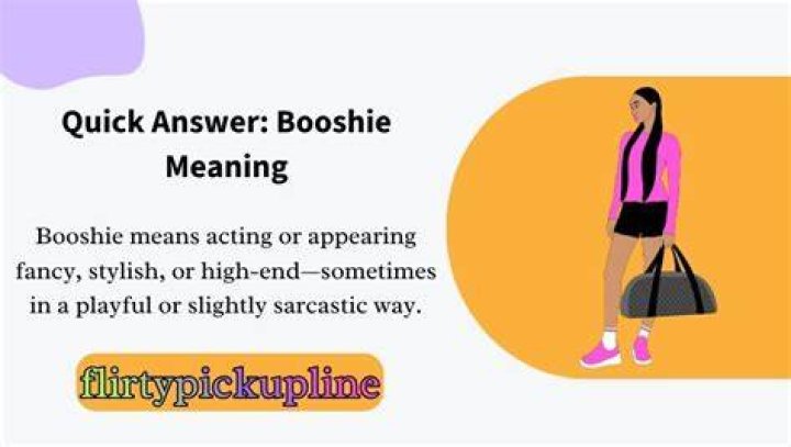 Understanding The Definition Of Booshie: A Comprehensive Guide