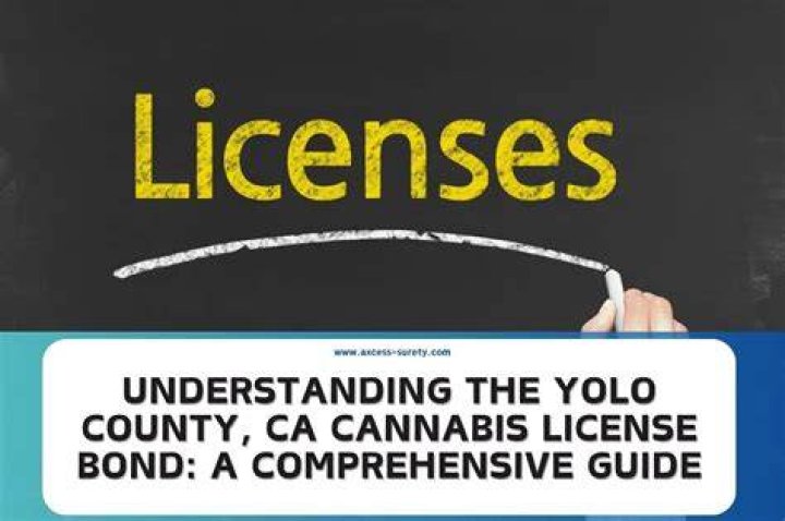 Understanding YOLO Lary Leak: A Comprehensive Guide