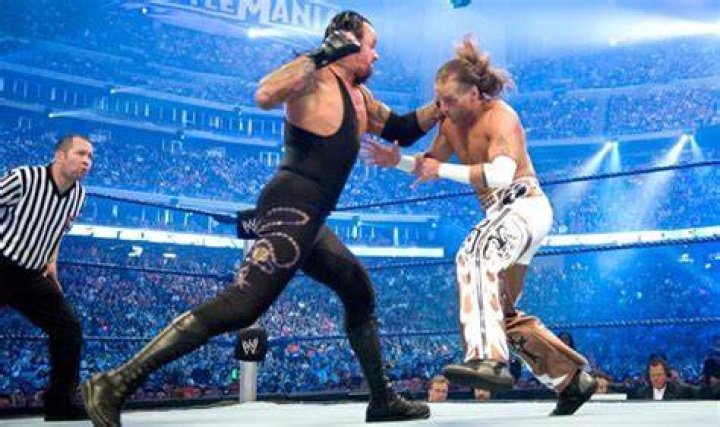 Undertaker v Shawn Michaels WrestleMania 25 Cropped