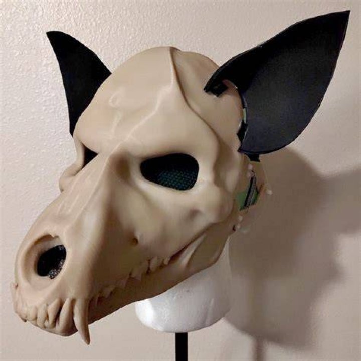 Unleashing The Mystery Of The Skull Dog Mask