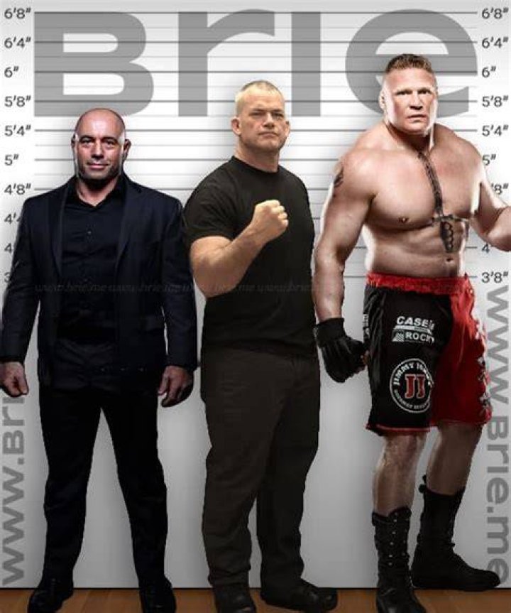 Unlock The Secrets Of Jocko Willink's Towering Height
