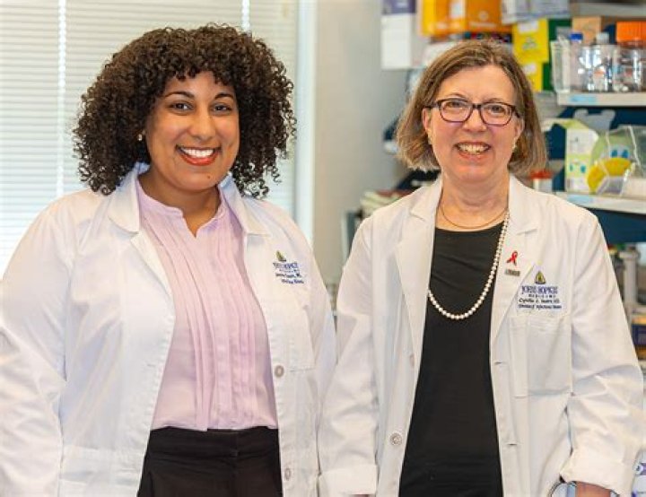 Unlocking The Secrets Of Johns Hopkins MSTP Secondaries