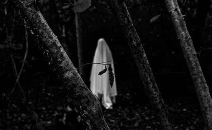 Unraveling Paranormal Activity: The Impasse Of Fear And Mystery