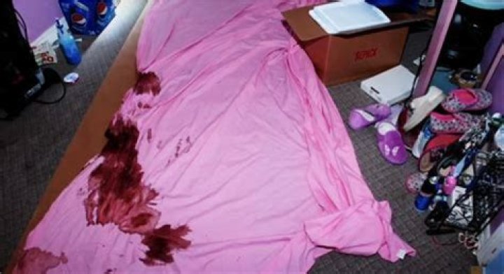 Unraveling The Enigma: The Gypsy Rose Crime Scene Image