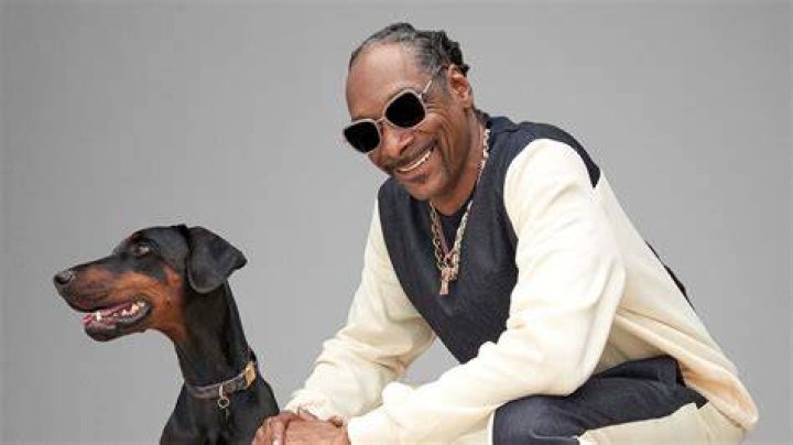 Unraveling The Life Of Snoop Dog: A Look At His Felonies