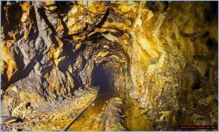 Unveiling The Enigmatic World Of Leonard Belzer: Discoveries And Insights