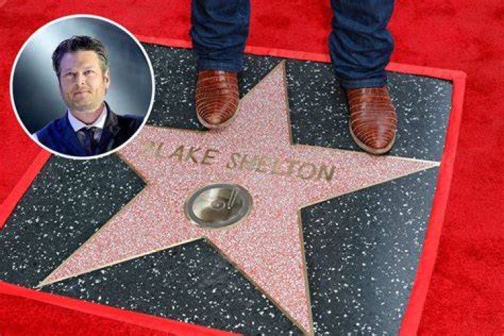 Unveiling The Mystery Did Blake Shelton Have A Child?