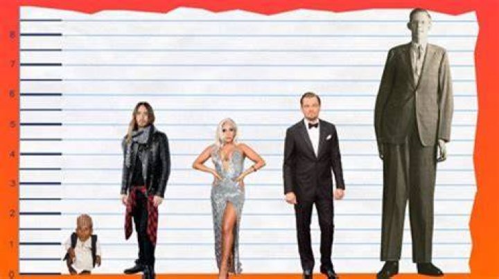 Unveiling The Rock's Twin: Surprising Revelations