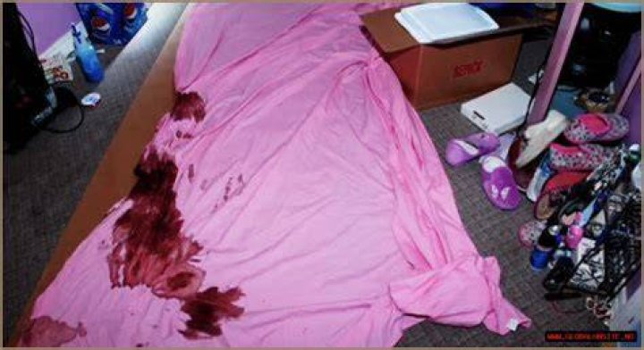 Unveiling The Truth: The Gypsy Rose Crime Scene Photos
