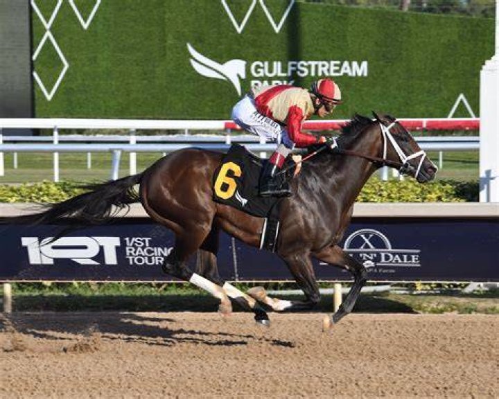 US Equestrian Authorities Unveils Top Contenders for Prestigious Horse of the
Year Award 2023