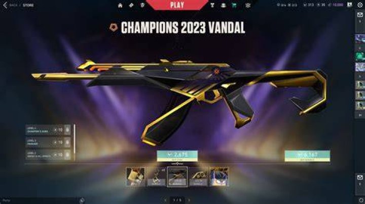 Valorant Champions 2023 will be broadcasted in different languages. 