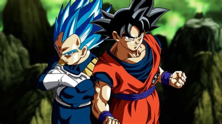 Vegeta and Goku in Dragon Ball