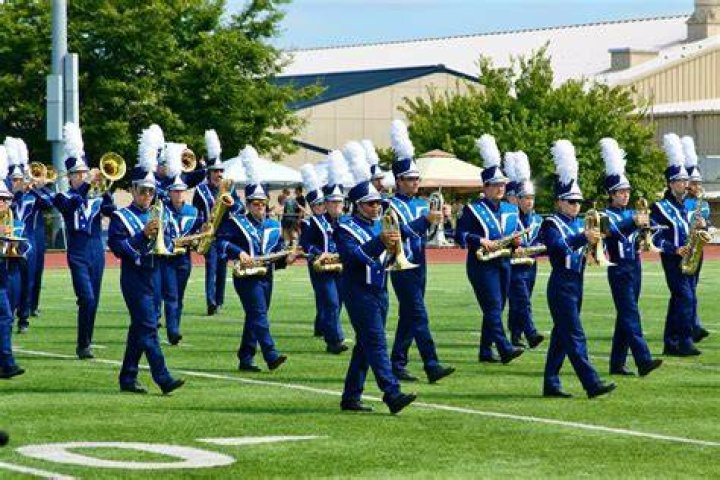 Vehicle, Marching band, Musician, Carriage, Event, Marching, Parade, Brass instrument, Uniform, 