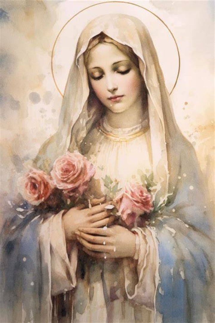 Virgin Mary Art, Blessed Virgin Mary, Holly Pictures, Mother Mary