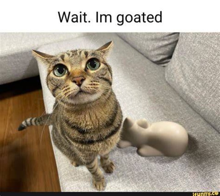 Wait im goated iFunny Brazil